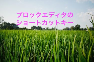 ブログに便利なMacのショートカットキーランキング　〜ブロックエディタ〜